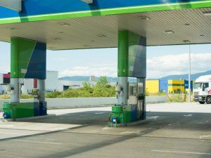 Imagen 11